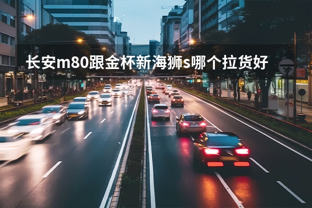 长安m80跟金杯新海狮s哪个拉货好?