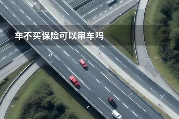 车不买保险可以审车吗