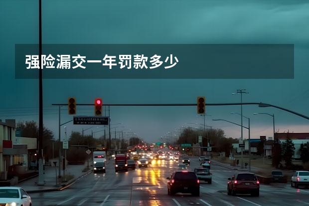 强险漏交一年罚款多少