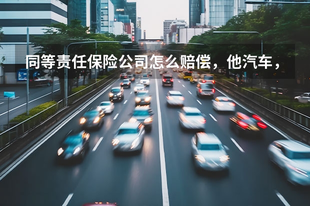 同等责任保险公司怎么赔偿,他汽车,我电瓶车